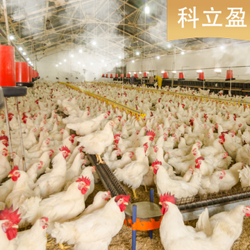 消毒噴霧設(shè)備 噴霧消毒